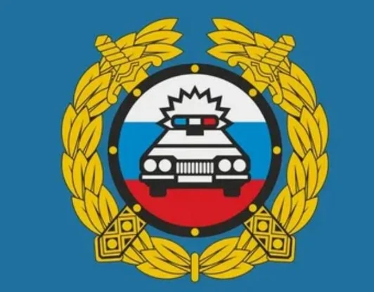 Заключение ГИБДД